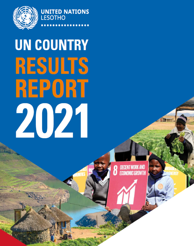 UN COUNTRY RESULTS REPORT 2021
