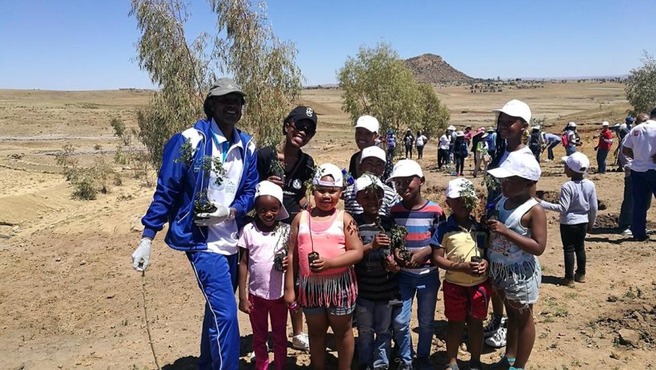 Tree planting